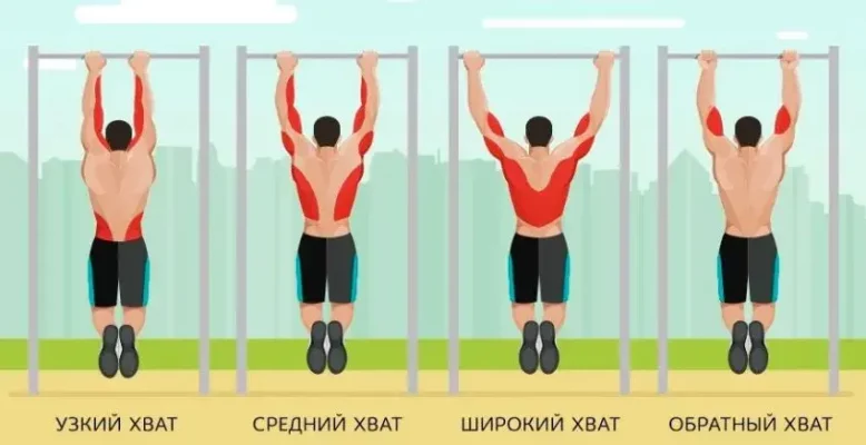 Техника выполнения подтягиваний с различной постановкой рук и хватами с подсветкой работающих мышц